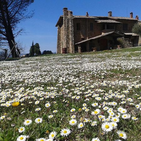 Agriturismo Le Roghete Acquapendente Buitenkant foto