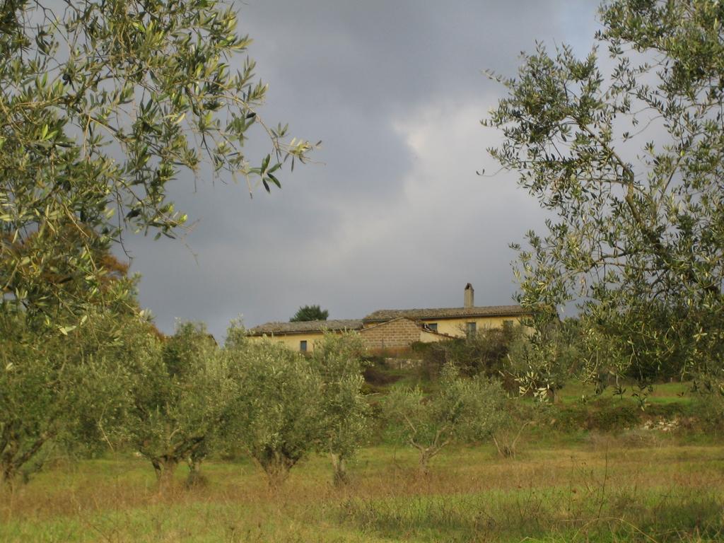Agriturismo Le Roghete Acquapendente Buitenkant foto