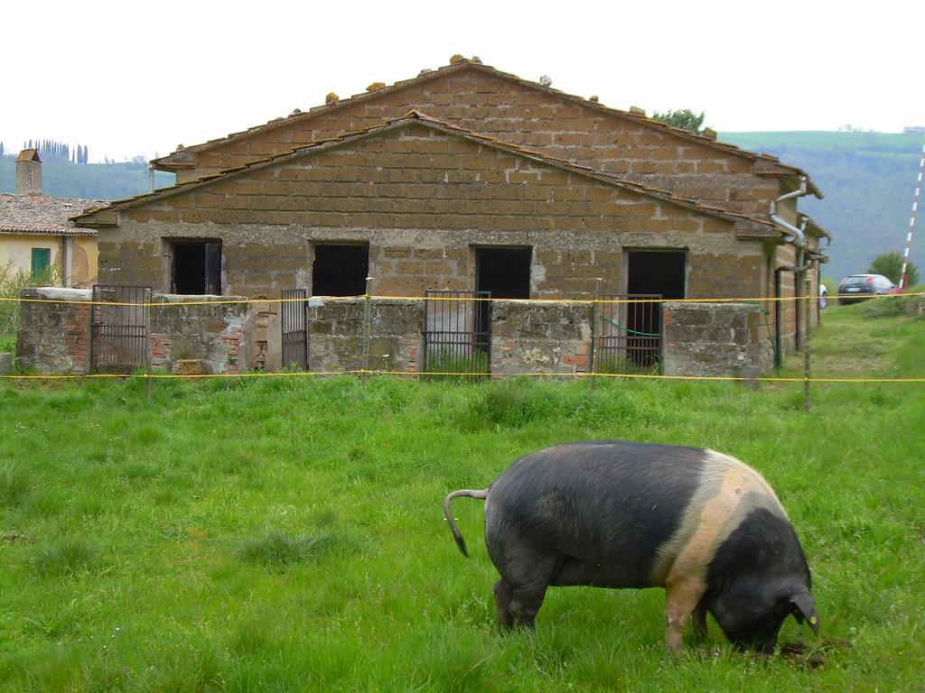 Agriturismo Le Roghete Acquapendente Buitenkant foto