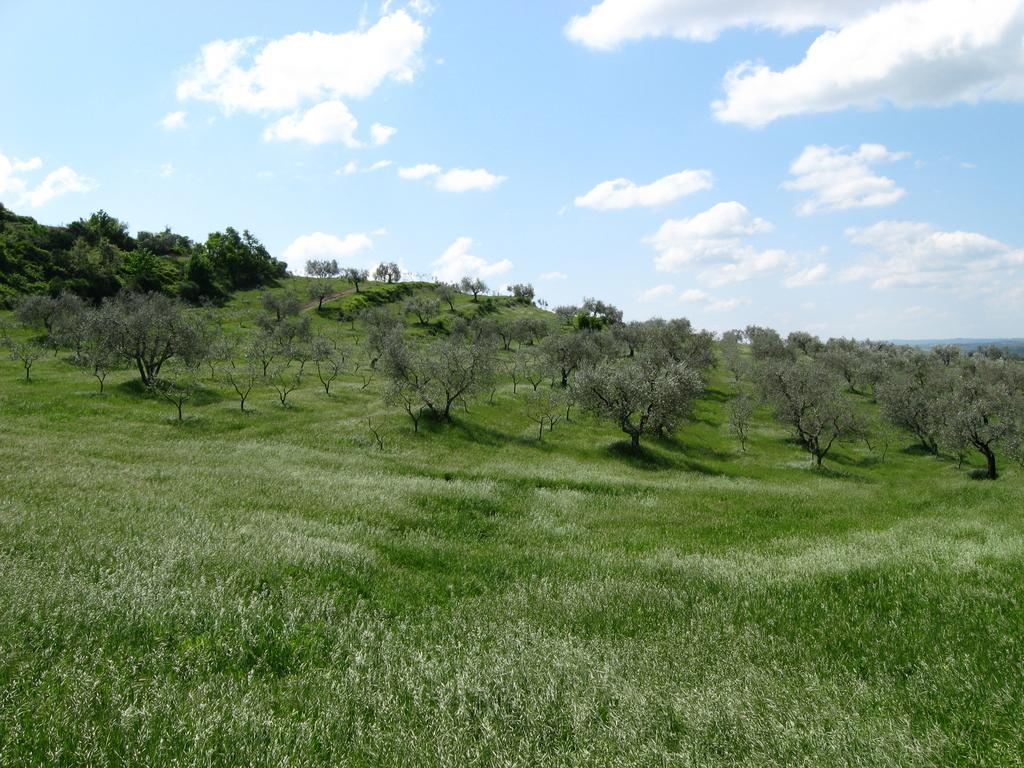 Agriturismo Le Roghete Acquapendente Buitenkant foto