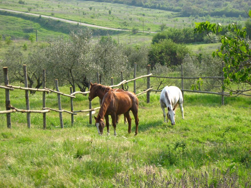 Agriturismo Le Roghete Acquapendente Buitenkant foto