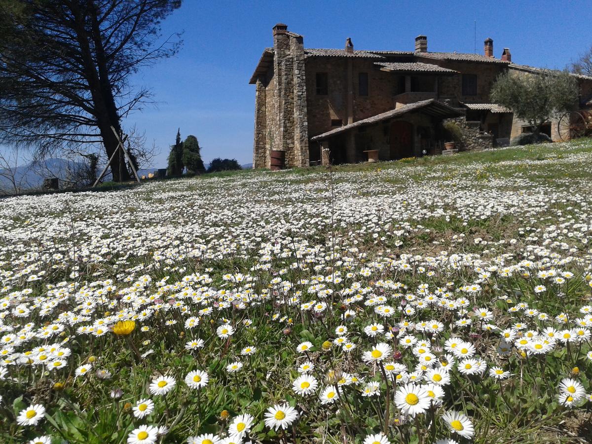 Agriturismo Le Roghete Acquapendente Buitenkant foto